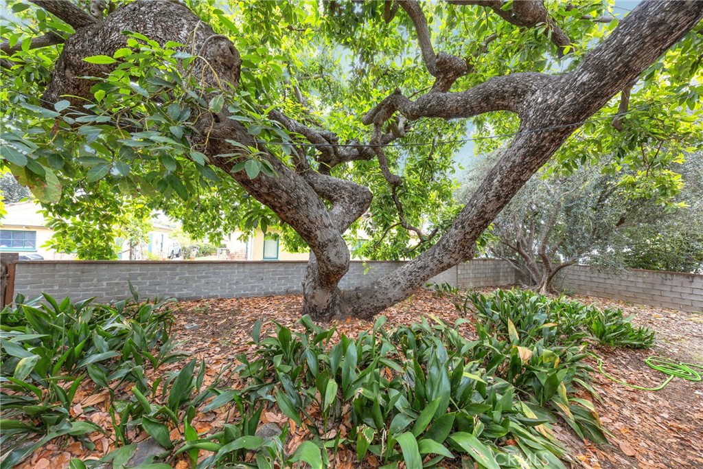 234 N Magnolia