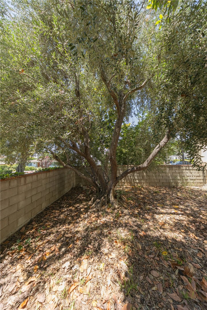 234 N Magnolia