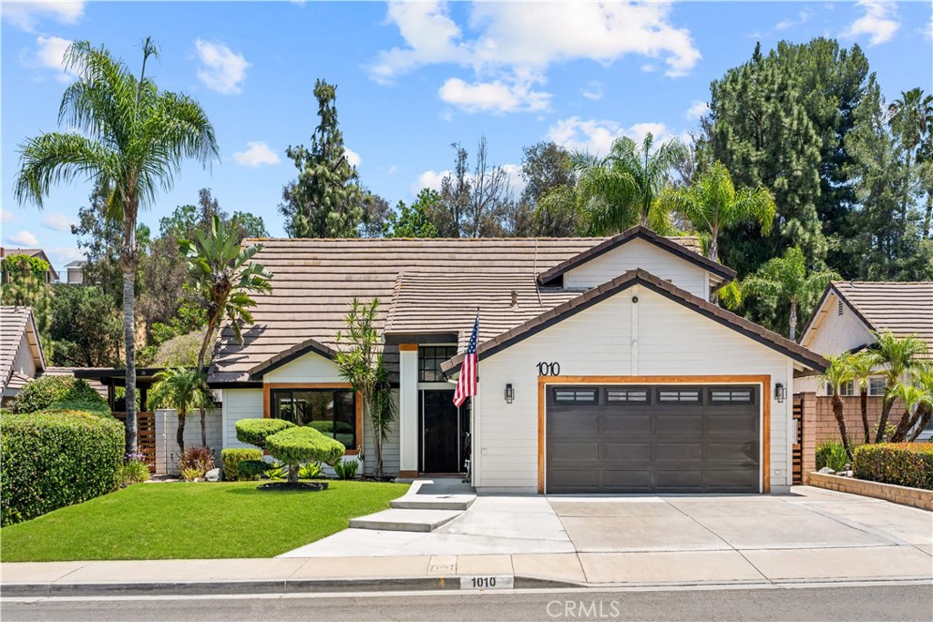 1010 Cogburn