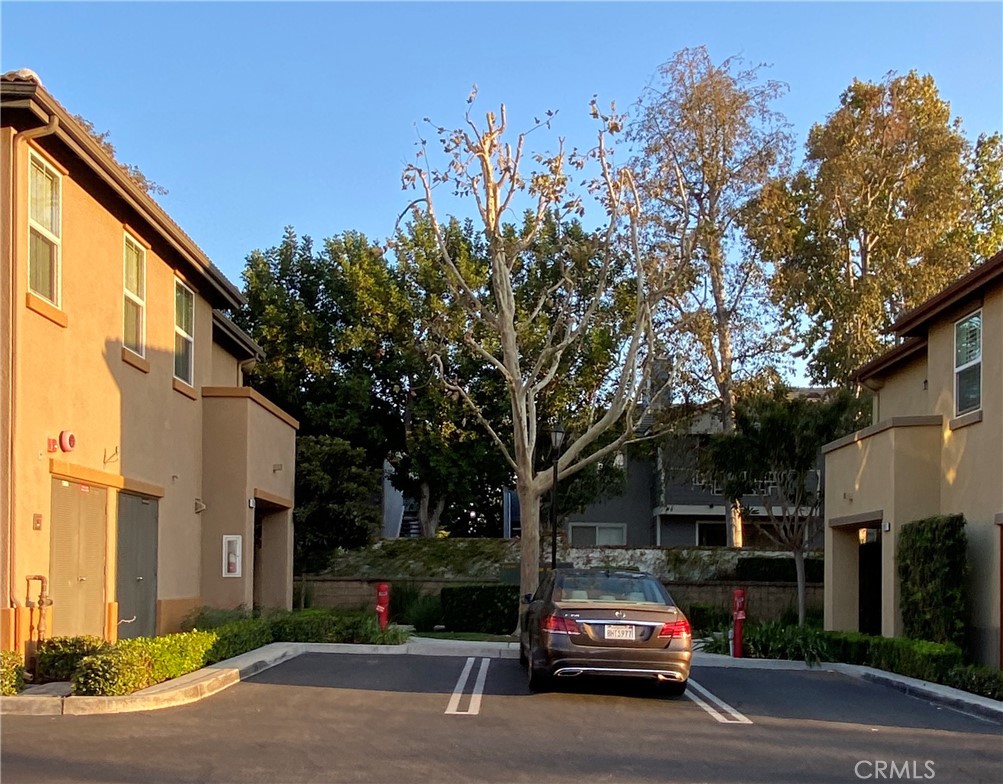 17871 Shady View