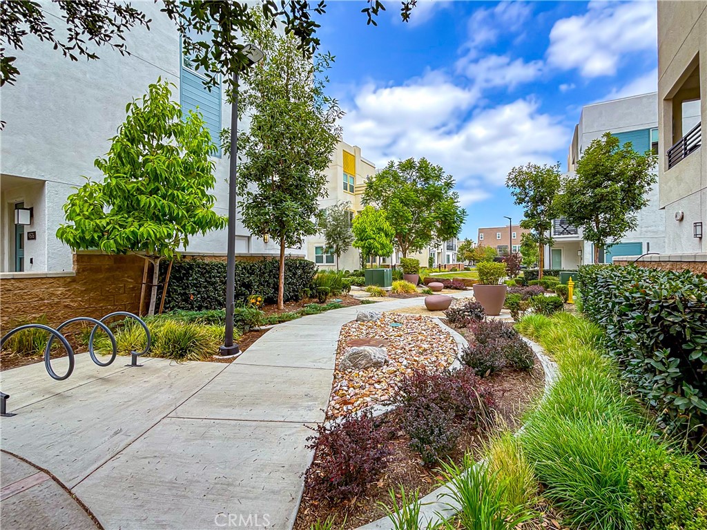 11052 Panoramic