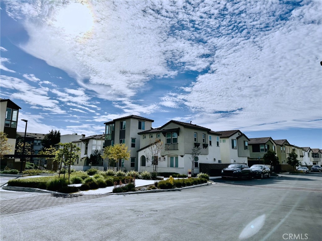 11052 Panoramic