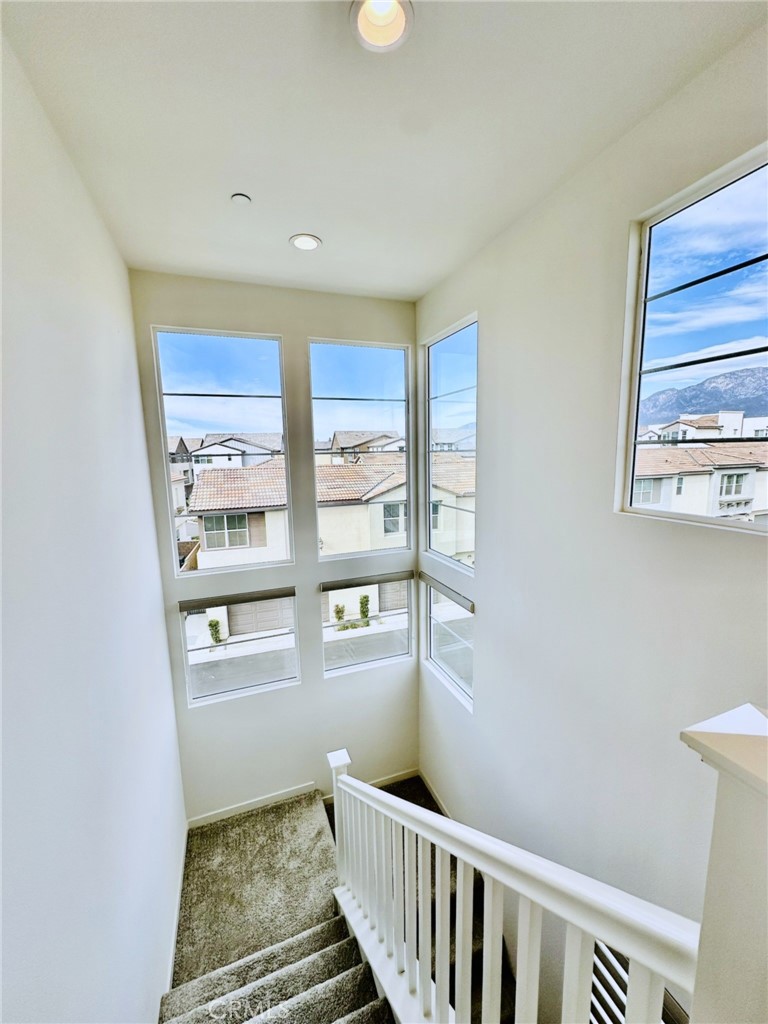 11052 Panoramic