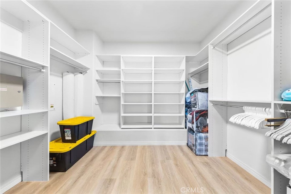 16425 Basswood