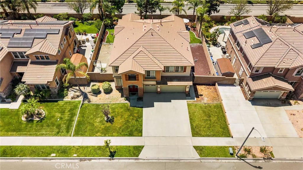 16425 Basswood