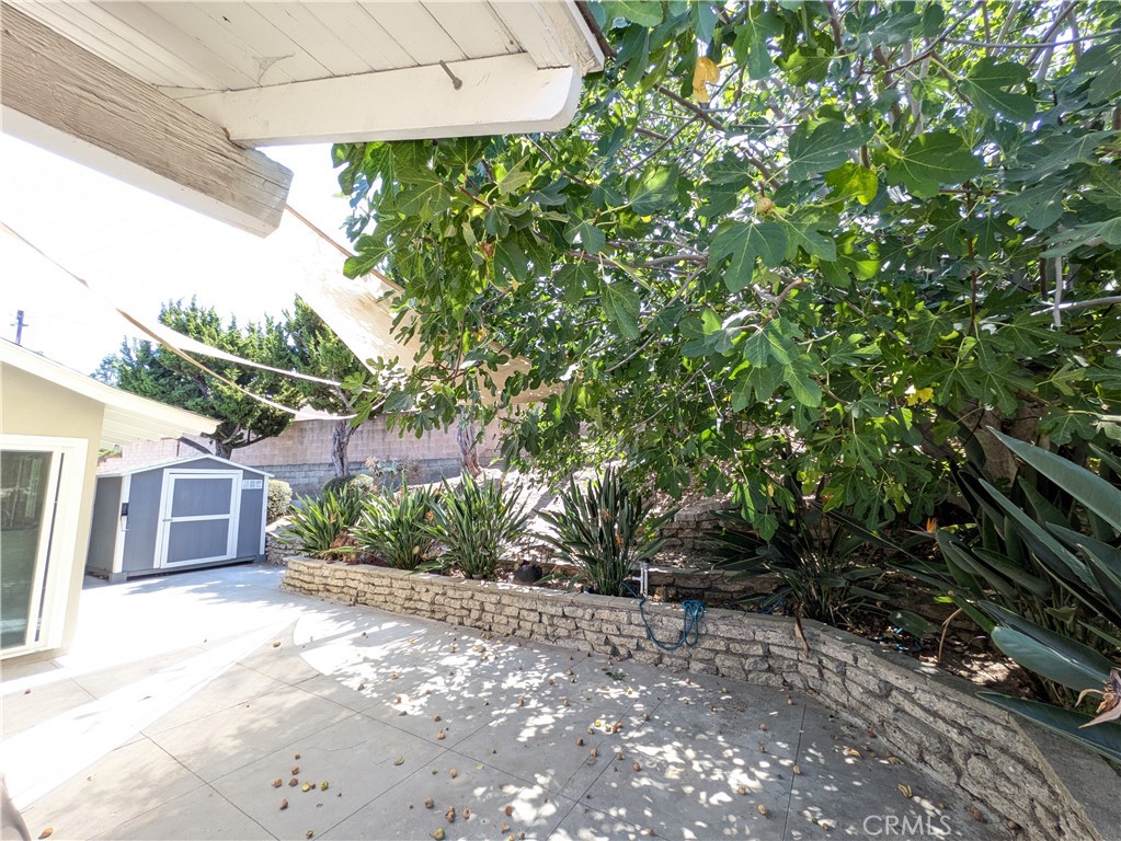 461 Rancheria