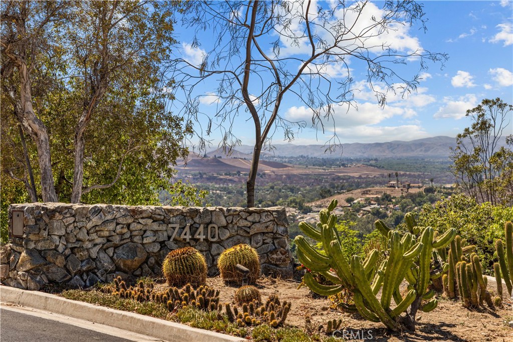 7440 Live Oak Drive