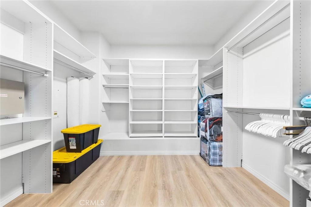 16425 Basswood