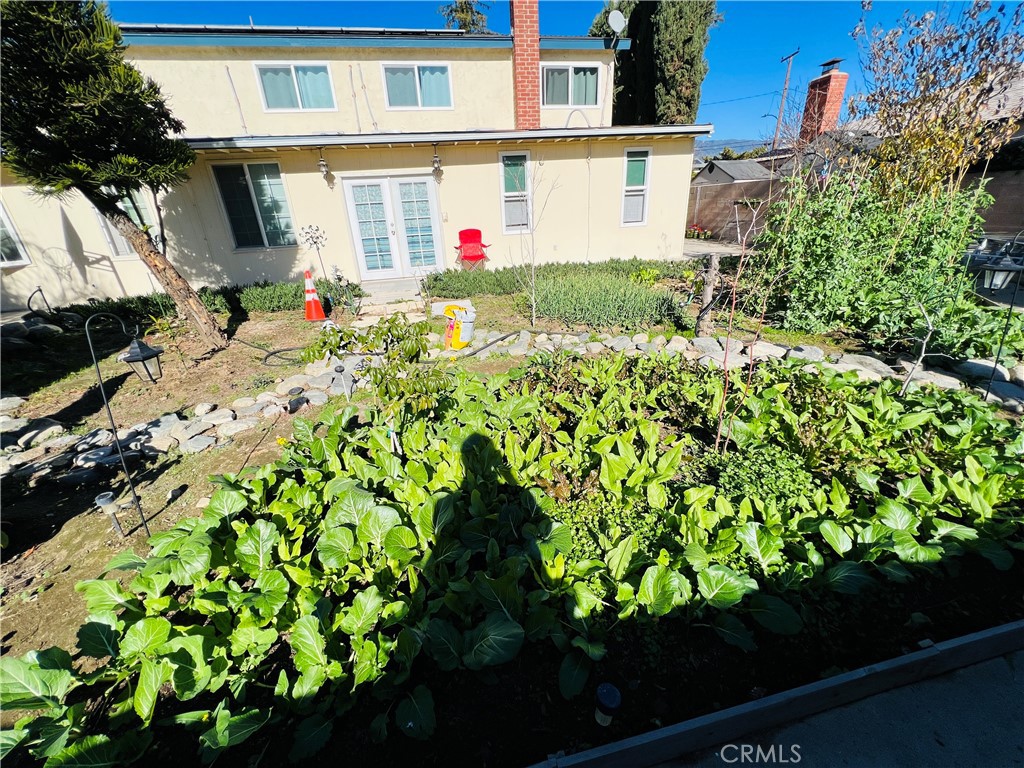 9763 Candlewood Street