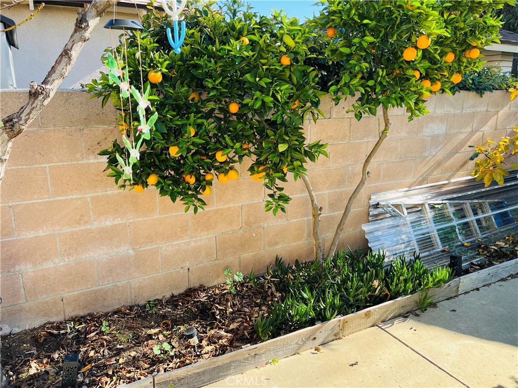 9763 Candlewood Street