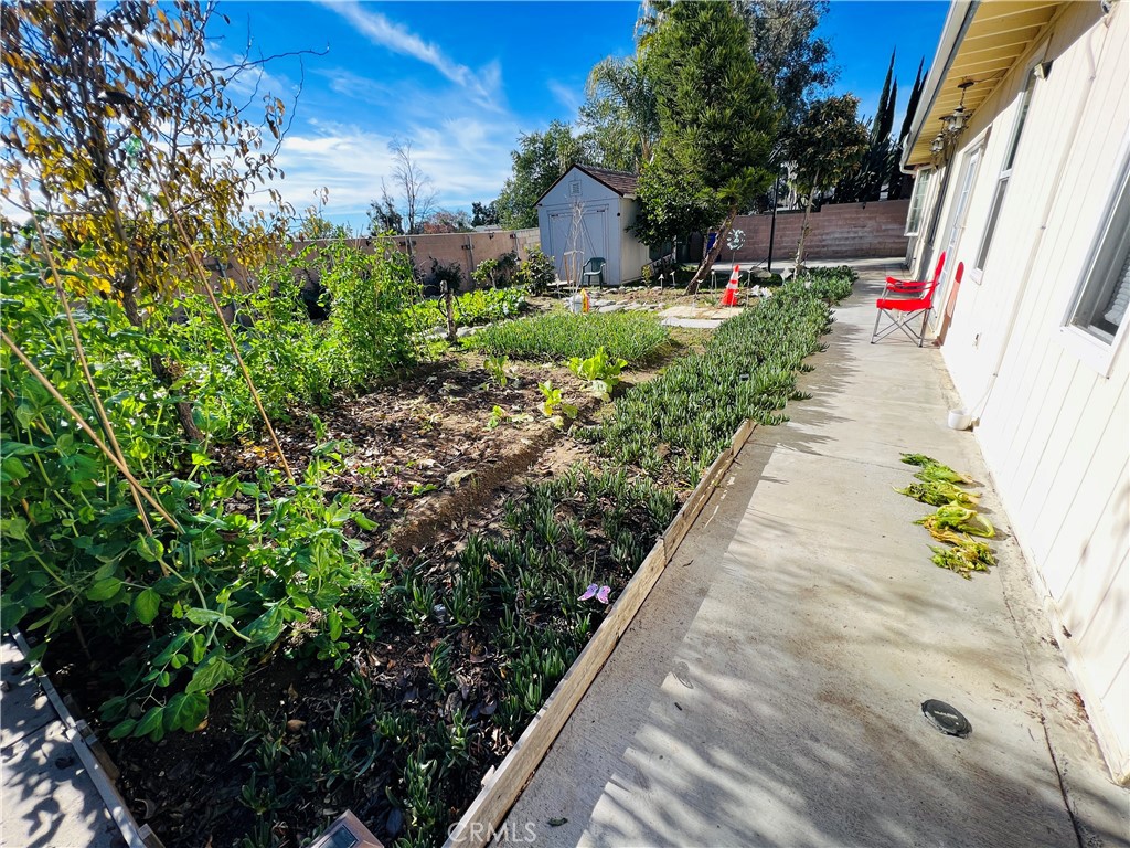 9763 Candlewood Street