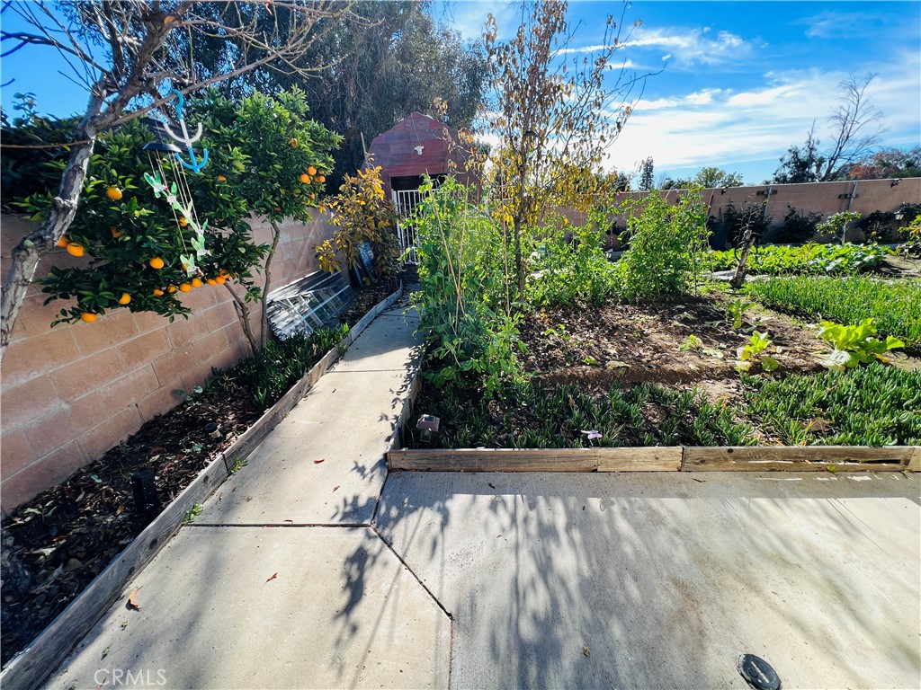 9763 Candlewood Street