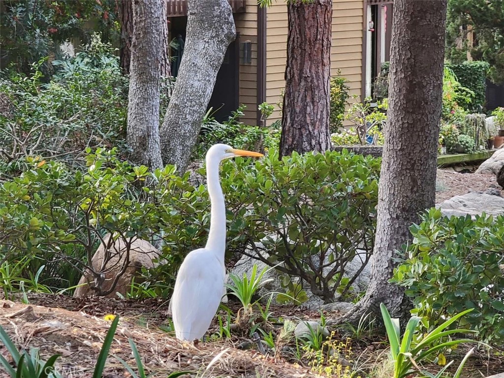 4140 Workman Mill Road 222