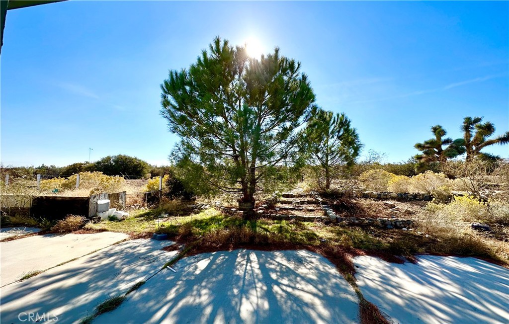 9125 Woodcliff Road