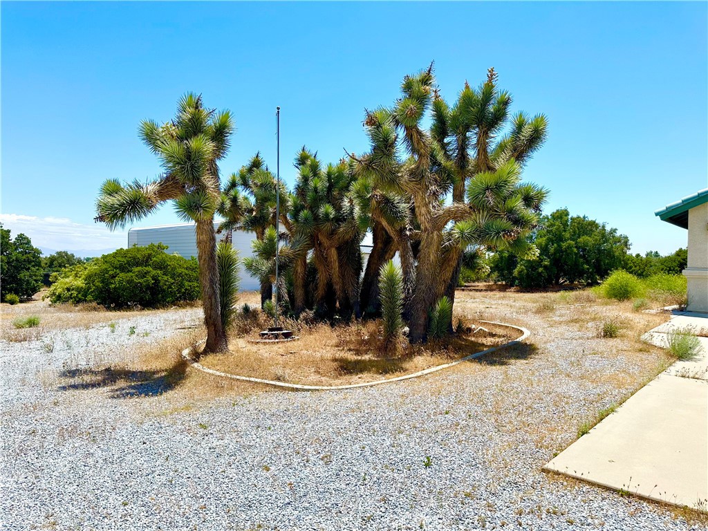 9125 Woodcliff Road