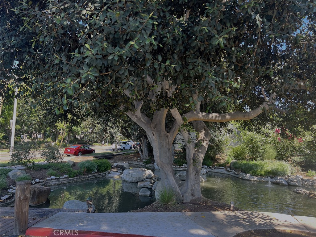 176 Streamwood