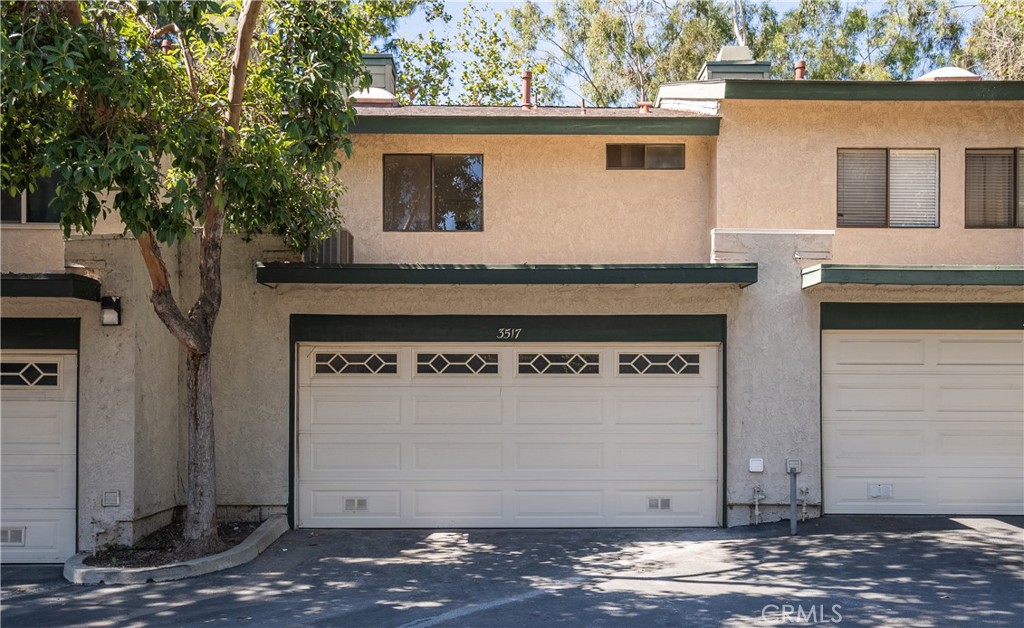 3517 Eucalyptus Street
