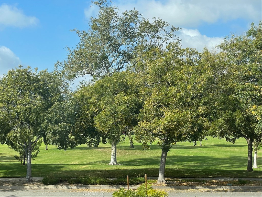 2684 Monticello Road