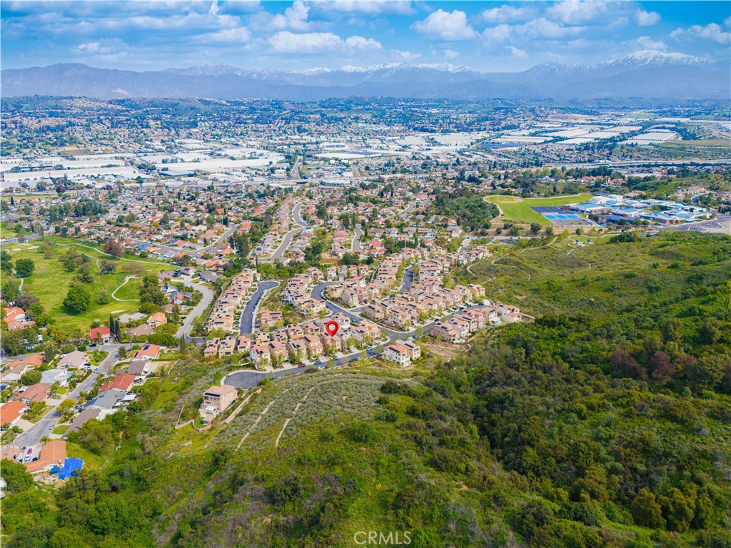 20601 Peaceful Woods Drive