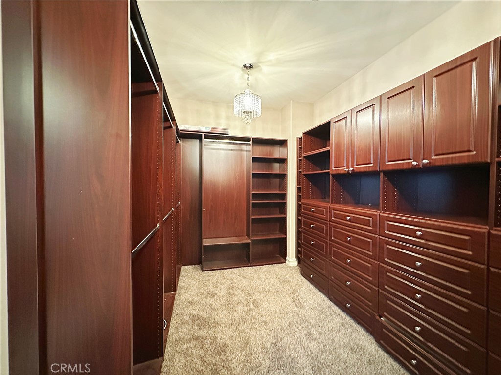 19737 Cleveland Bay Lane