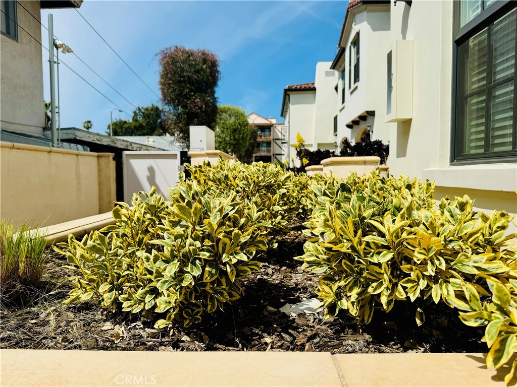 118 N allen Avenue 5