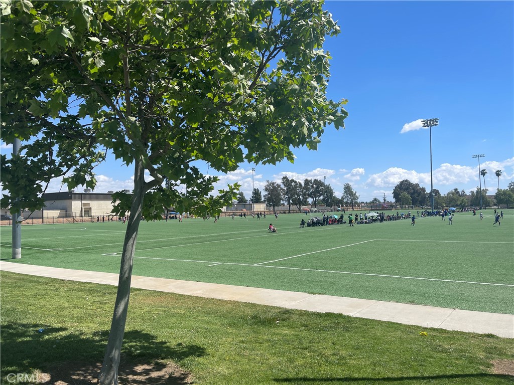 13373 Reindeer Street