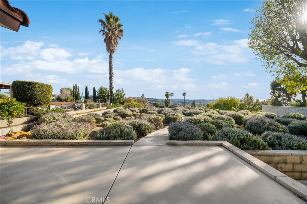 23828 Cholame Drive