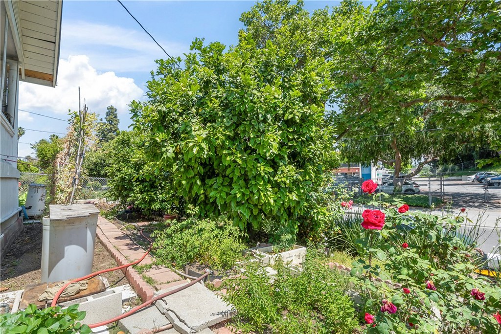 3155 Budau Avenue