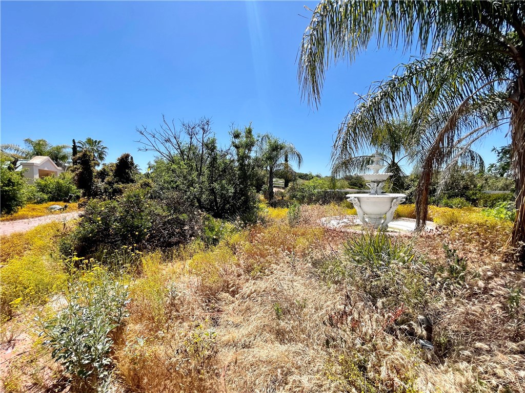 31625 Sierra Verde Road