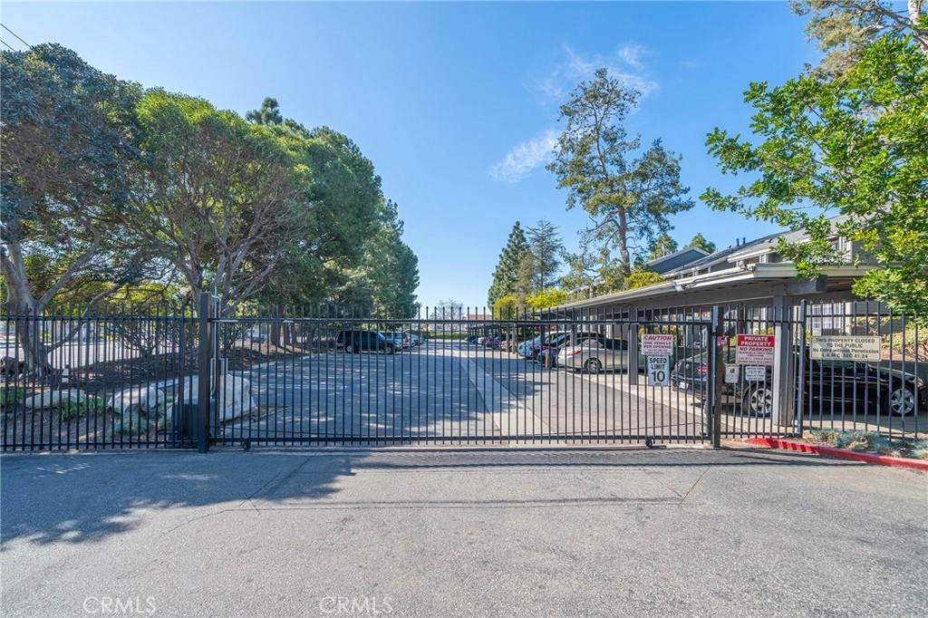 25529 Pine Creek Lane