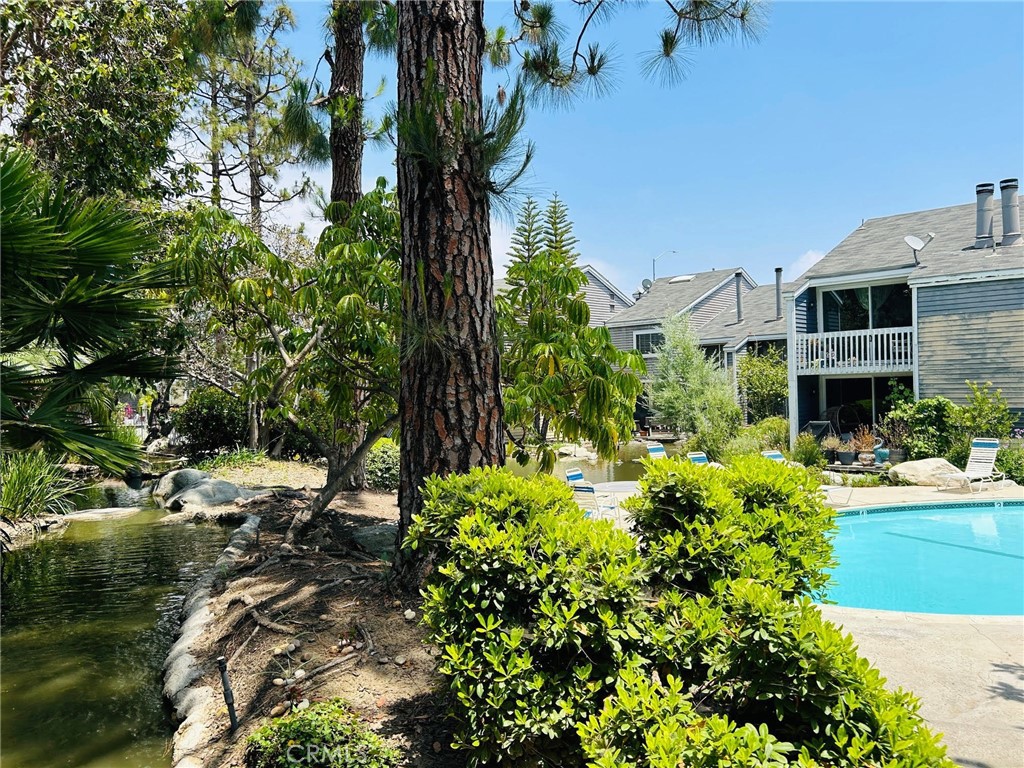 25529 Pine Creek Lane