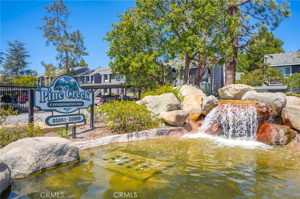 25529 Pine Creek Lane