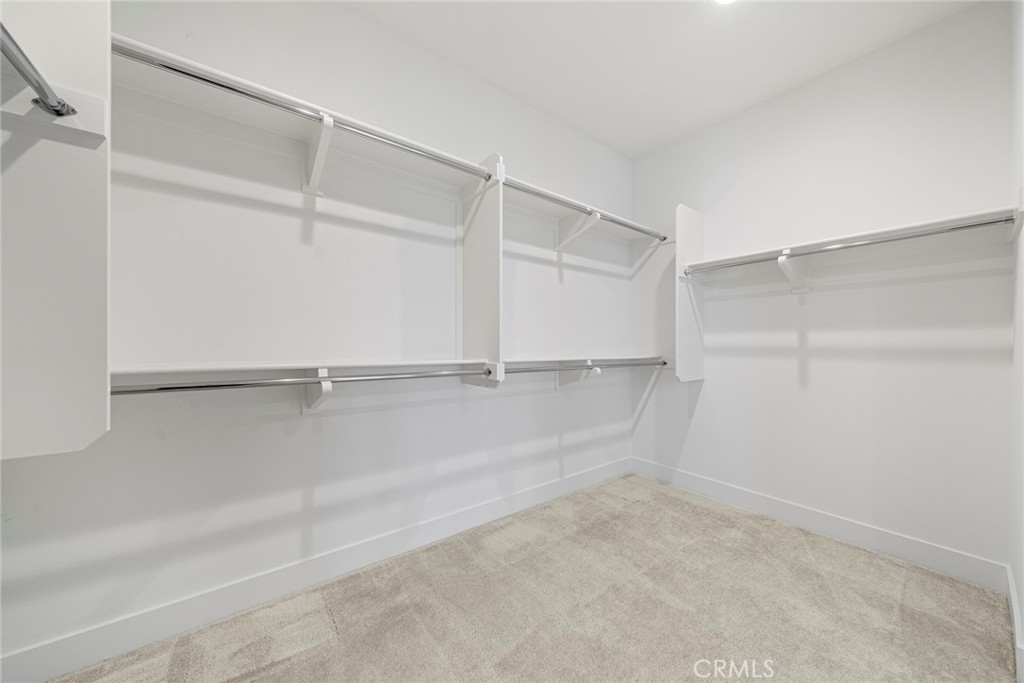 261 Burwood