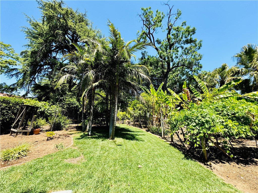 1777 La Cresta Drive