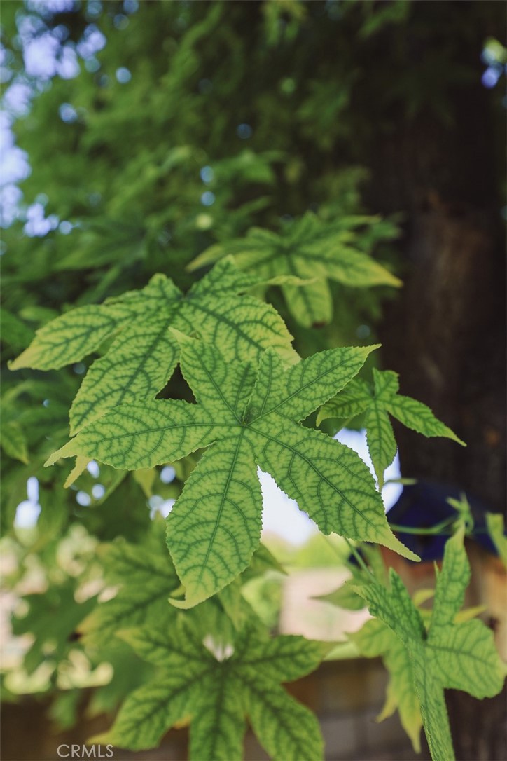 20901 High Country Drive