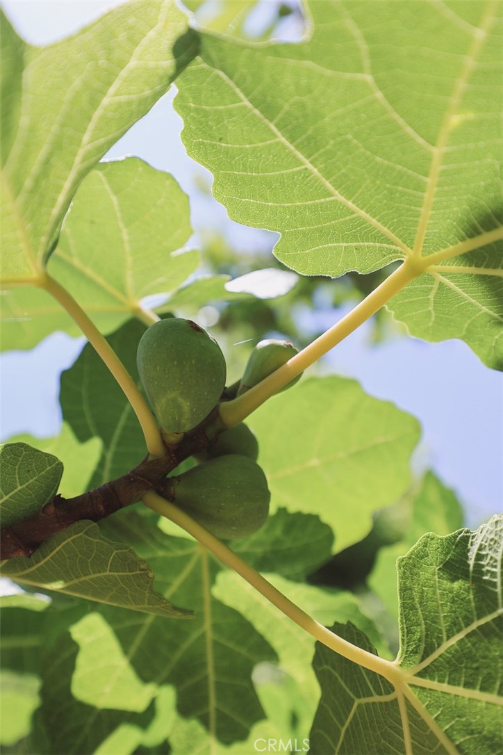 20901 High Country Drive