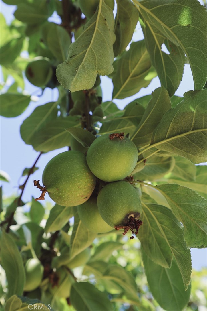 20901 High Country Drive