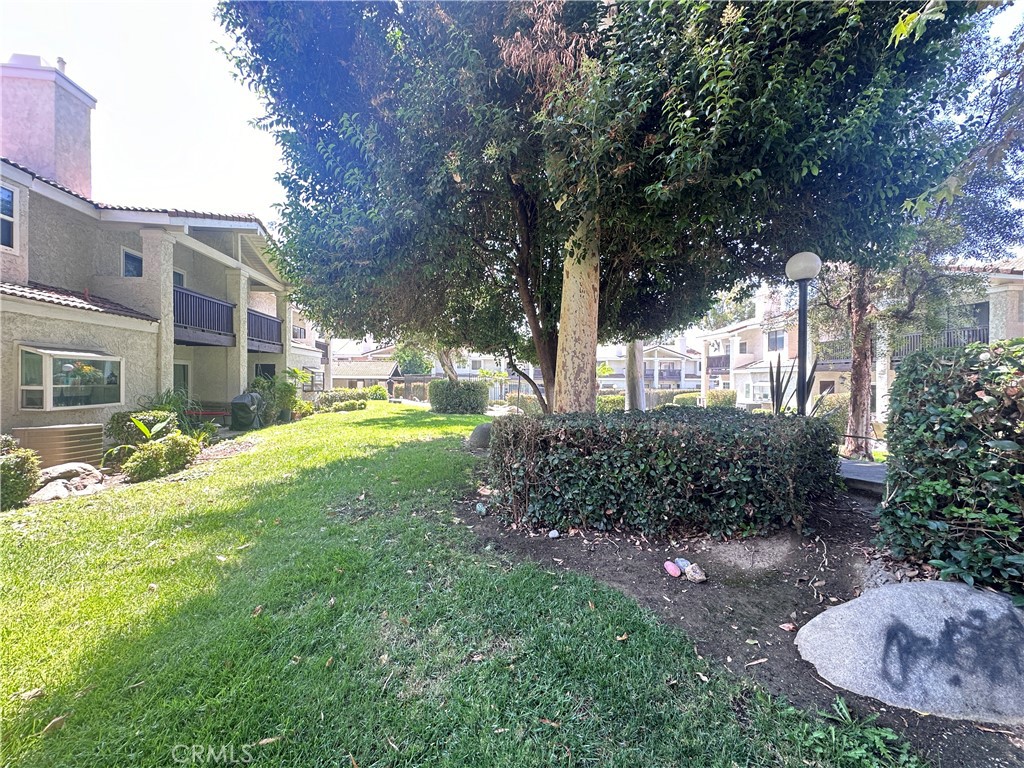 2226 Smoke Tree Lane