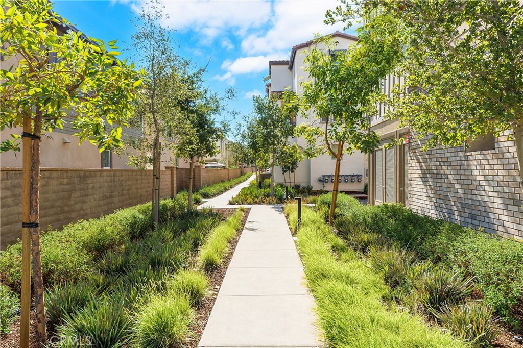 12253 Radiance Drive
