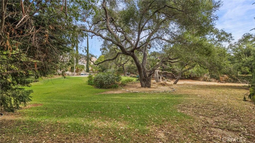 1141 Rodeo Road