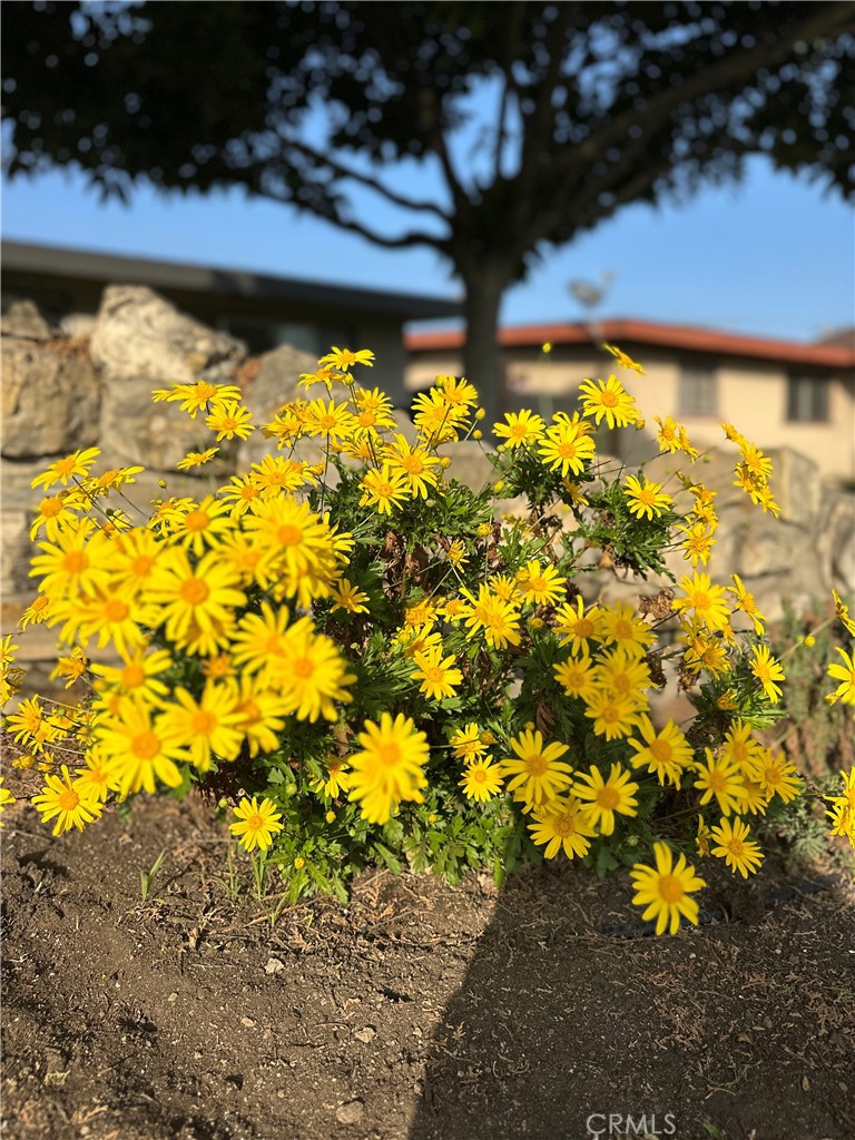 2141 E Center Street