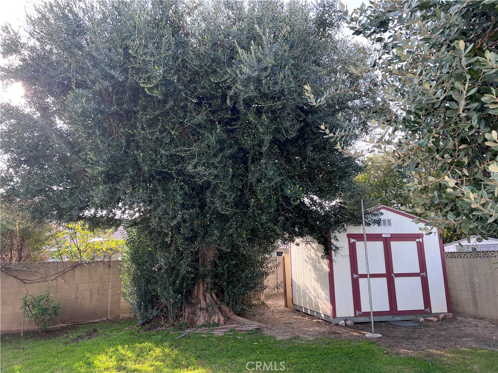 718 Lute Avenue