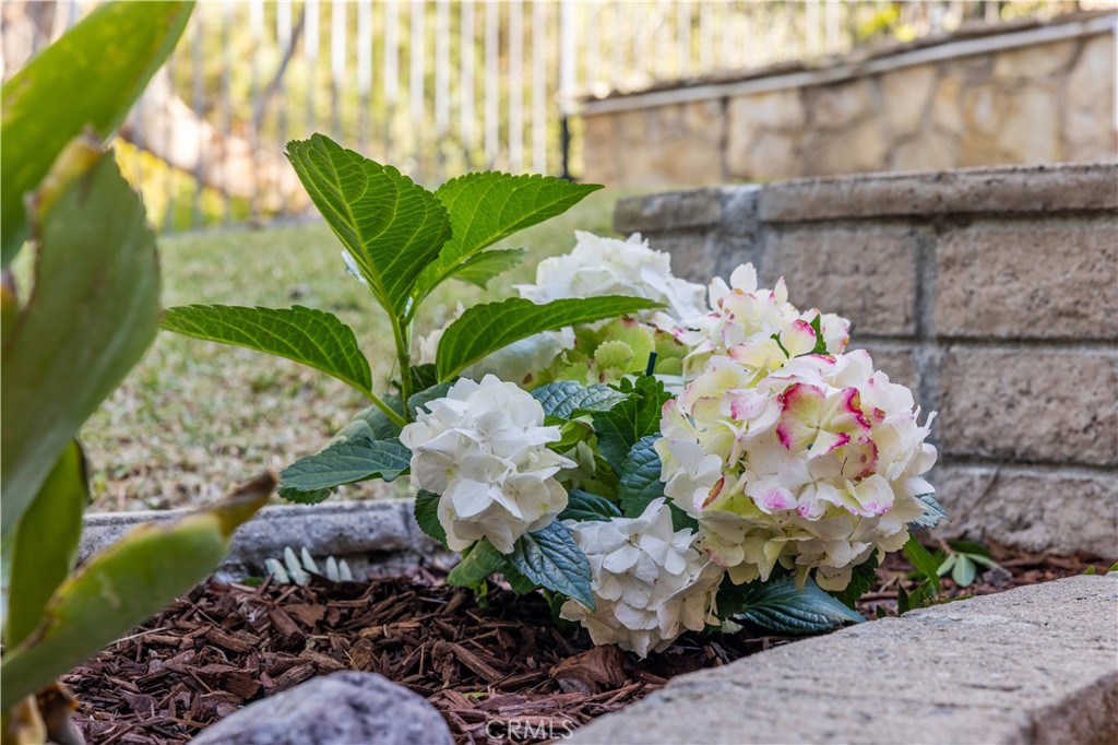 22846 Belquest Drive