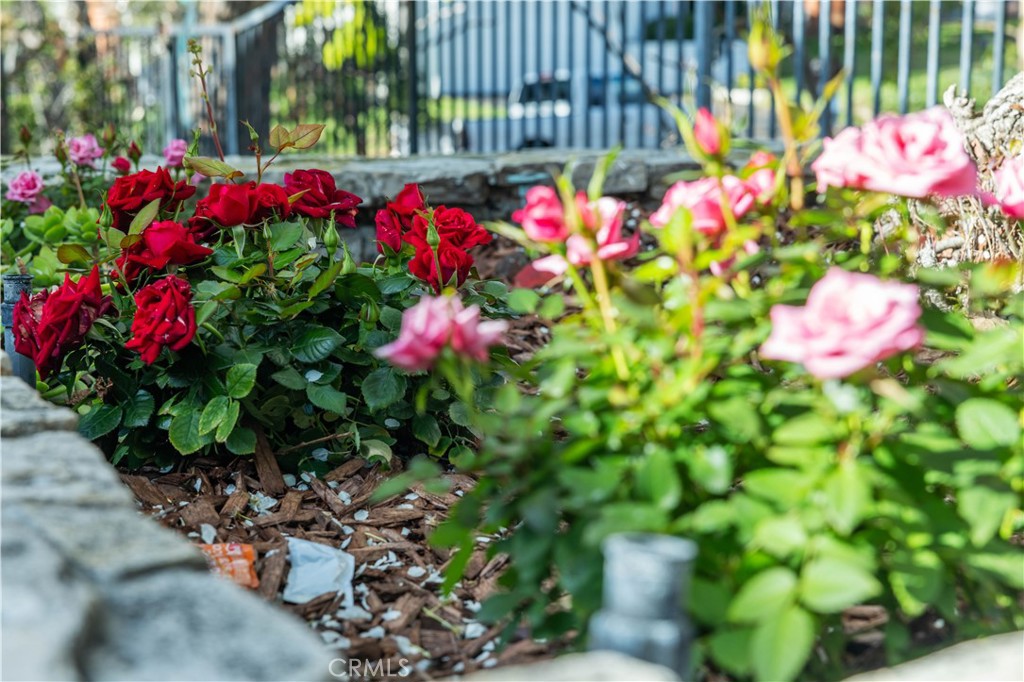 22846 Belquest Drive