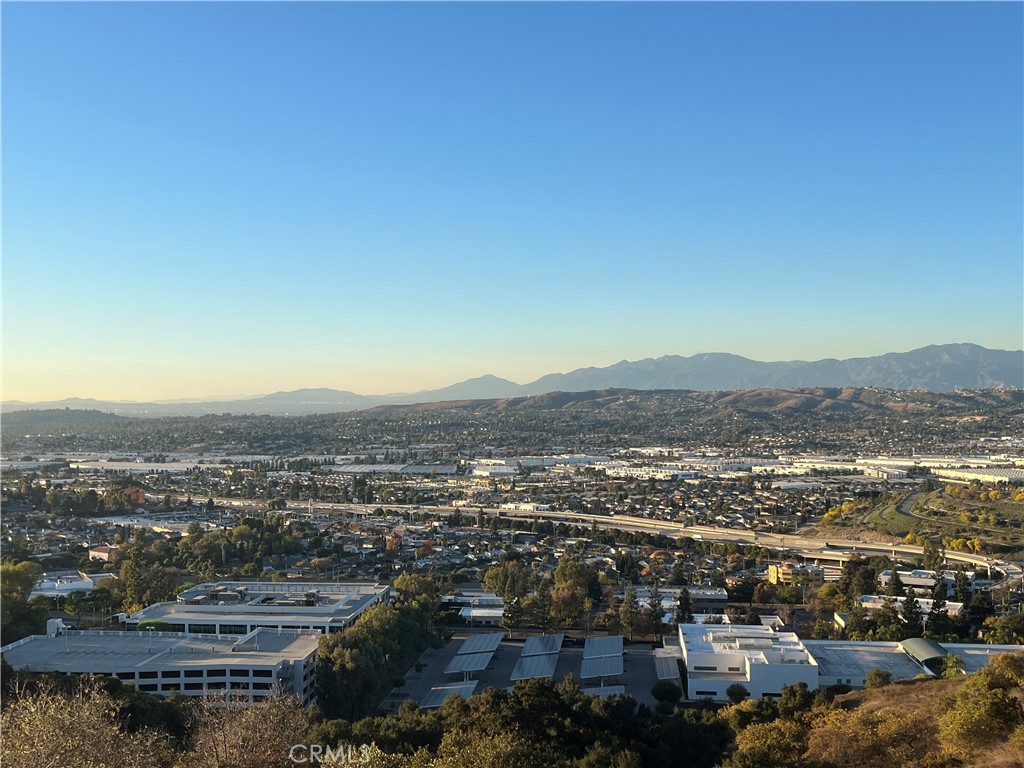 1517 Eldertree Drive