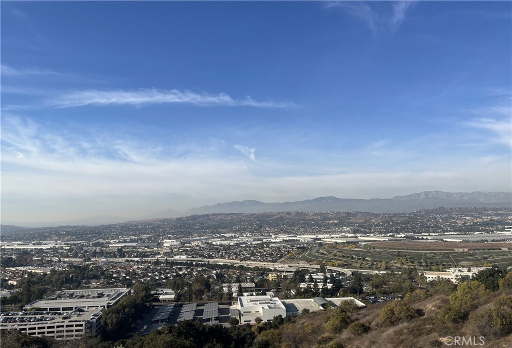 1517 Eldertree Drive