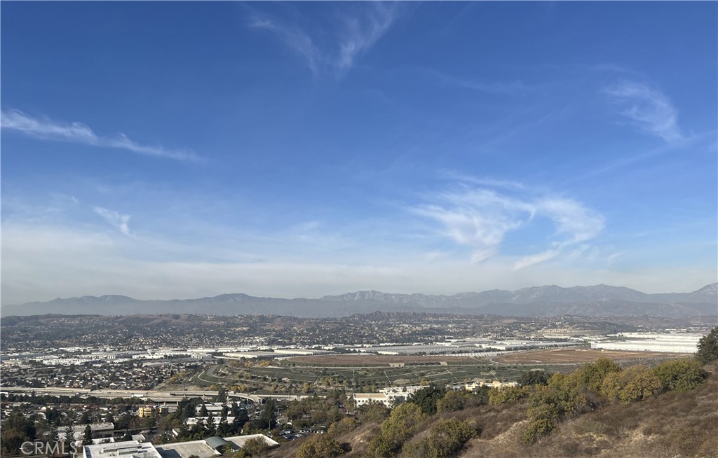 1517 Eldertree Drive