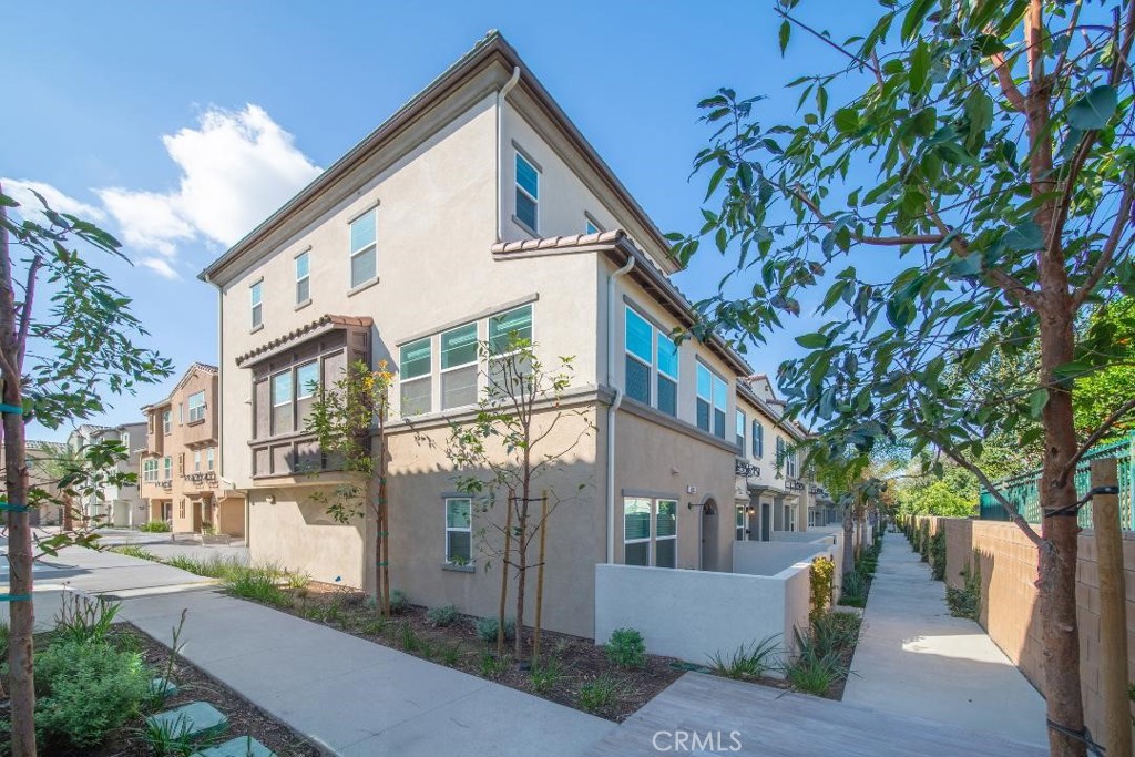 4393 Maple Lane