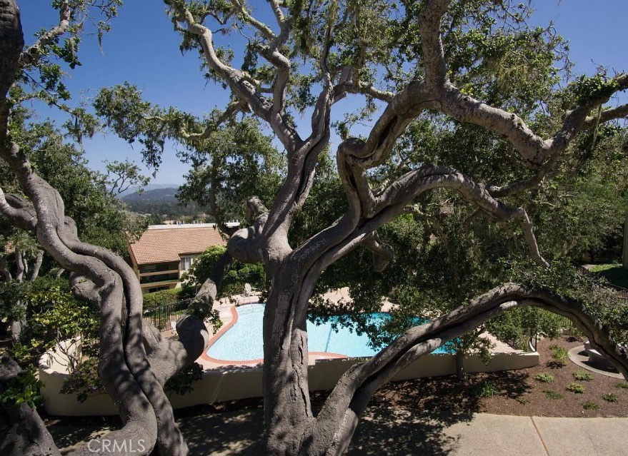 2308 Golden Oaks Ln