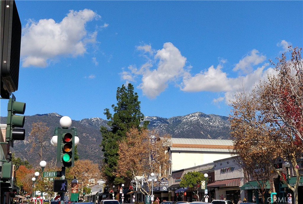 162 W Lemon Avenue B